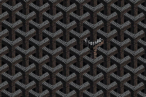 Goyard Wallet with Box 1.1